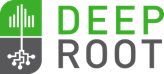 deep root logo